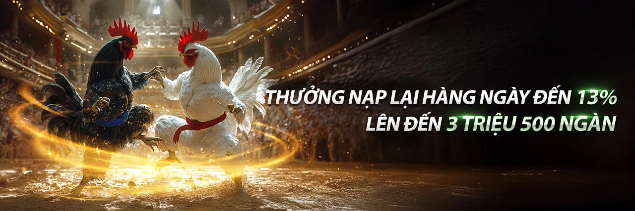 Hình ảnh quảng bá 888new login với các ưu đãi hoàn trả và thưởng nạp hấp dẫn
