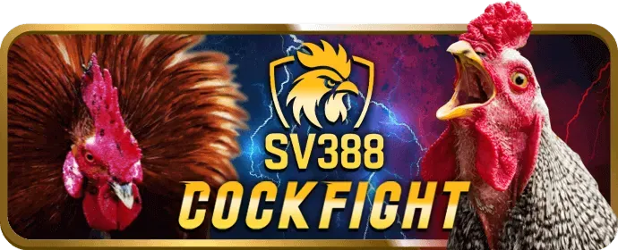 Hỗ trợ khách hàng VIP của 888new login
